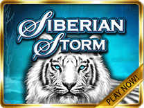 siberian storm game icon