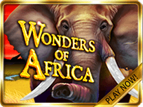wonders of africa game icon